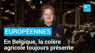 Européennes : en Belgique, la colère agricole toujours présente • FRANCE 24