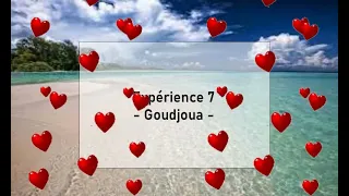 Expérience 7 - Goudjoua