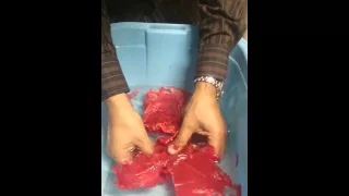 Fake meat from wax. for display in restaurants