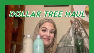 Dollar Tree Haul #dollartreehaul #dollartree #dollarstorefinds #dollartreeshopping