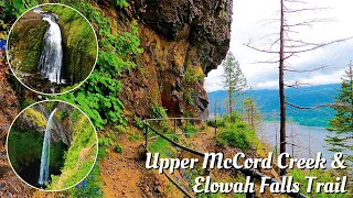 Elowah and Upper McCord Creek Falls Trail | Hike with Two Waterfalls | Columbia River Gorge