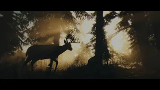 RDR2 - Arthur’s Deer Dreams