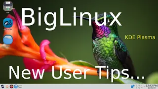 BigLinux - Tips for New Users - KDE Plasma 5.27.8