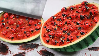 Stop Motion Cooking Make beetle from watermelon Mukbang ASMR Unusual Cooking Funny Videos