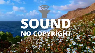 Nomyn - Horizon||No Copyright (Ambient)||Background Music