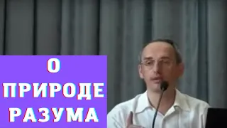 О природе разума