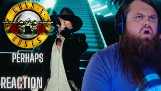 I'm Blown Away by Guns N' Roses - Perhaps (REACTION)