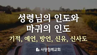 성령님의 인도와 마귀의 인도: 기적, 예언, 방언, 신유, 신사도_정동수 목사, 사랑침례교회, 킹제임스 흠정역성경, 설교, 강해 (2023. 8. 4)