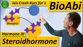 Hormone 3 Steroidhormone - Wirkungsweise im Detail Vergleich von hydrophilen + hydrophoben Hormonen