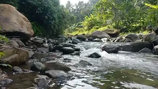 The gentle sound by the stream water flows, wild birds chirp the best relaxing water sounds