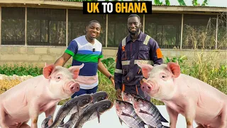 Why He Returned From the UK To Ghana To Start His 200 Capacity Pig Farm, Catfish and Tilapia Farm.