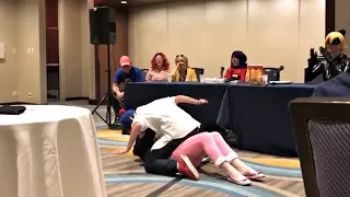Adrienette at Anime Midwest 2017 | Miraculous Ladybug Panel