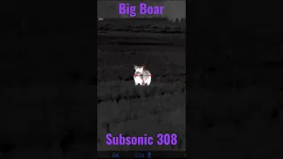 BIG BOAR ▪︎ SUBSONIC 308 ▪︎ "G'DAY MATE"