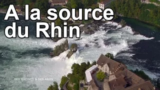 A la source du Rhin