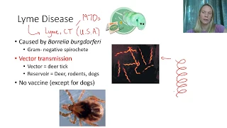 Bacterial Diseases: Cardiovascular and Nervous Systems