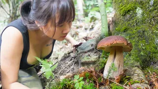 5 Days Solo Bushcraft - Emergency Shelter Under a Big Rock/ Picking Wild Mushrooms and Cooking - P1