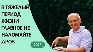 В тяжелый период жизни главное НЕ НАЛОМАЙТЕ ДРОВ. 2023г