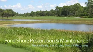 Pond Shore Restoration and Maintenance