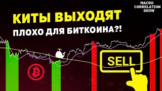 #bitcoin КИТЫ ОПЯТЬ ПРОДАЮТ | Плохо для Биткоина?