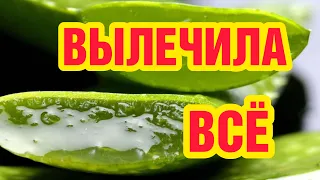 Копеечный домашний продукт  ЛЕЧИТ  все болезни  БЫСТРО !