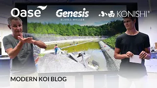 Modern Koi Blog #5388 - Wie viel Wasserwechsel braucht es für Konare Mizu