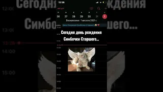 Сегодня ему бы исполнилось 2 годика…😢