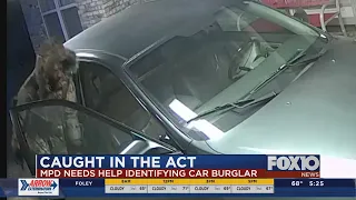 Caught in the Act: Car burglary suspect