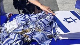 Rally for Israel held at Freedom Plaza in DC