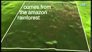 Timelapse Devastating Deforestation