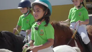 Relación entre caballos y niños, ejemplo de lealtad