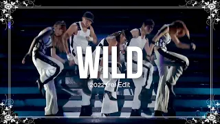 WILD -Live edit- / (2022更新版)