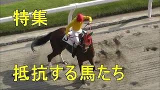 競馬　抵抗する馬たち