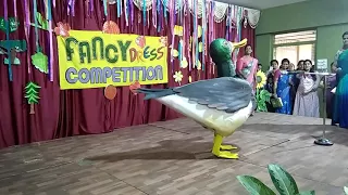 Fancy dress duck