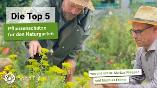 Die Top 5 - Pflanzenschätze für den Naturgarten mit Matthias Fellner, Insekten | gardify Tipps