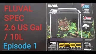 FLUVAL SPEC 10litre AQUARIUM setup and review - EPISODE 1