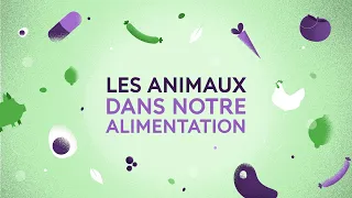 Les animaux dans notre alimentation | Web-série "Humains et autres animaux"