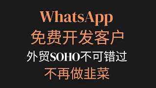 外贸人开发客户whatsapp技巧，解密付费版whatsapp开发软件底层逻辑，外贸SOHO，值得所有外贸人学会的外贸开发技巧，这再做韭菜