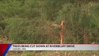 Trees Being Cut Down at Riverbluff Drive