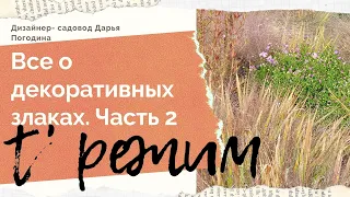 Все о злаковых травах. 2. Температурный режим роста