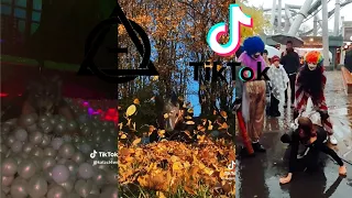 Therian and Quadrobics TikToks || Compilation 🐾🍂 || Alterhumans of TikTok #55