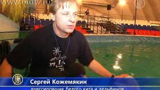 Новый дельфинарий открылся в Москве