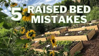 5 Raised Bed Garden Mistakes to Avoid