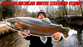 Western Michigan Winter Steelhead Fishing