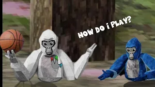 I pretended I was a noob in Gorilla Tag