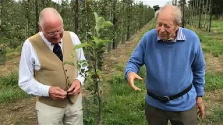 Maintenance of a graft