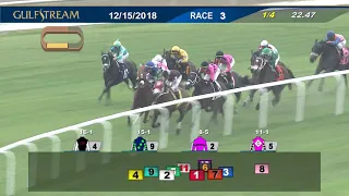 Gulfstream Park Replay show | December 15, 2018