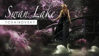 Swan Lake - Tchaikovsky / slowed down / 1 hour