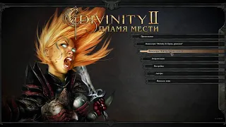 Divinity II Developer's Cut. Обзор-мнение.