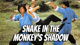 Wu Tang Collection - Snake in the Monkey's Shadow (widescreen)