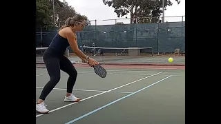 pickleball with sammee.  net drills, receiving speed ups and resets
